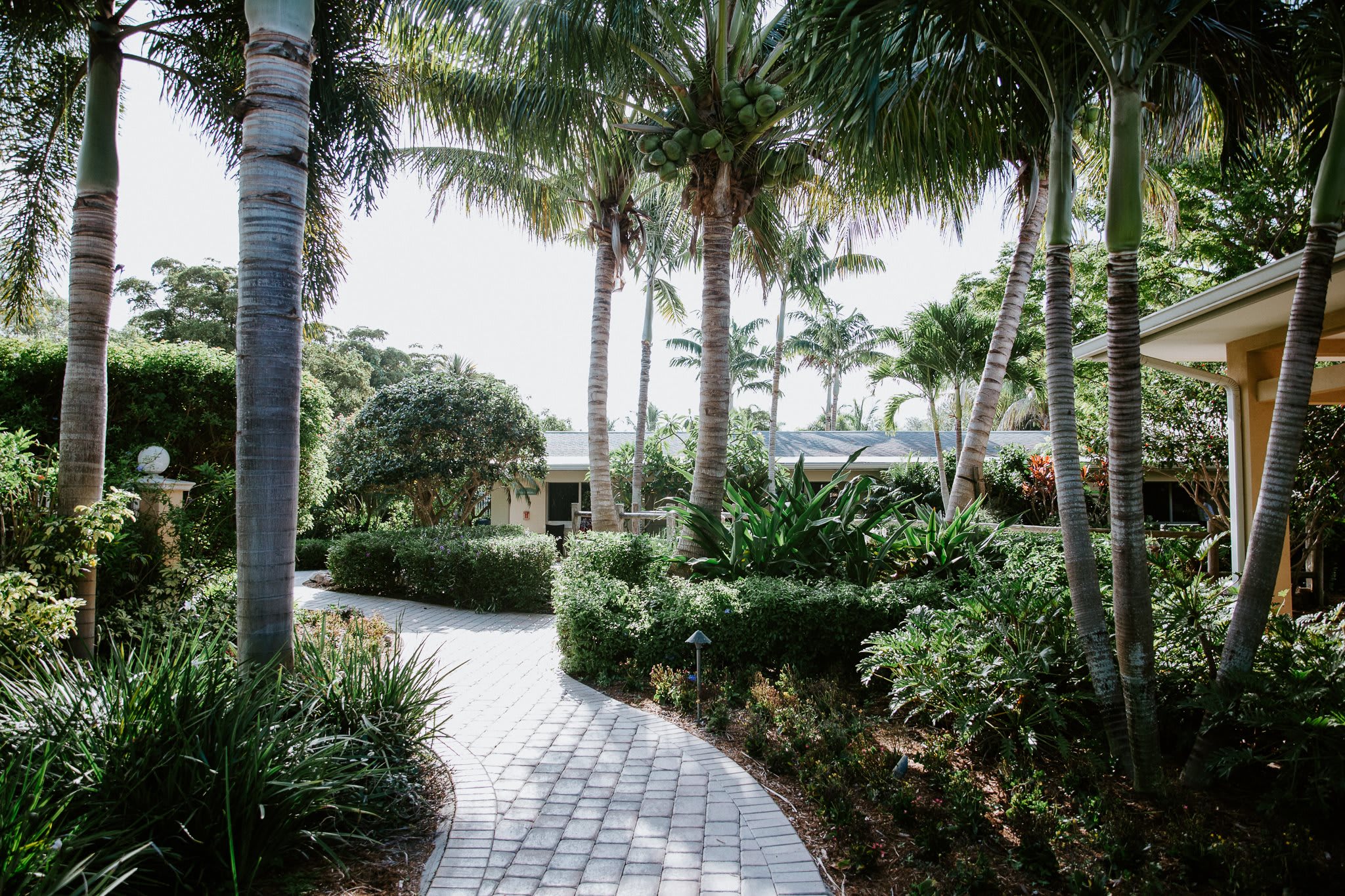 A Banyan Residence