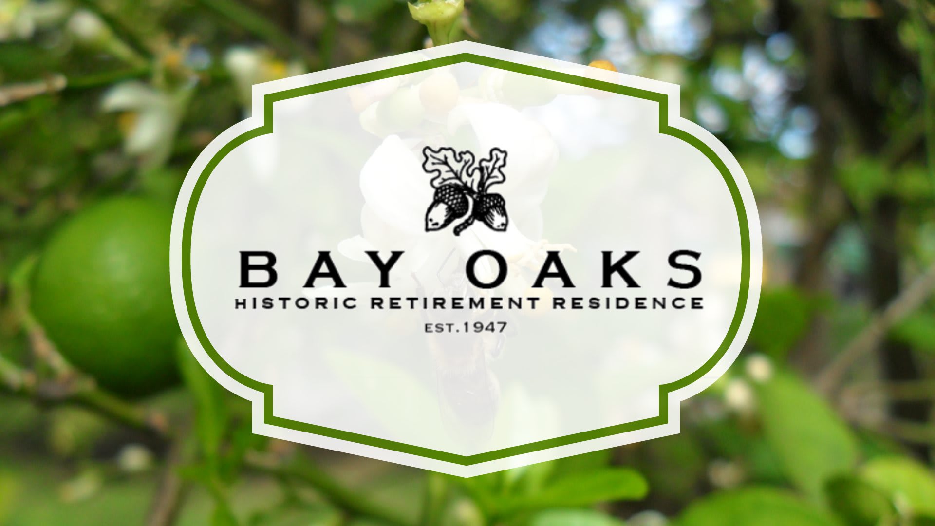 Bay Oaks