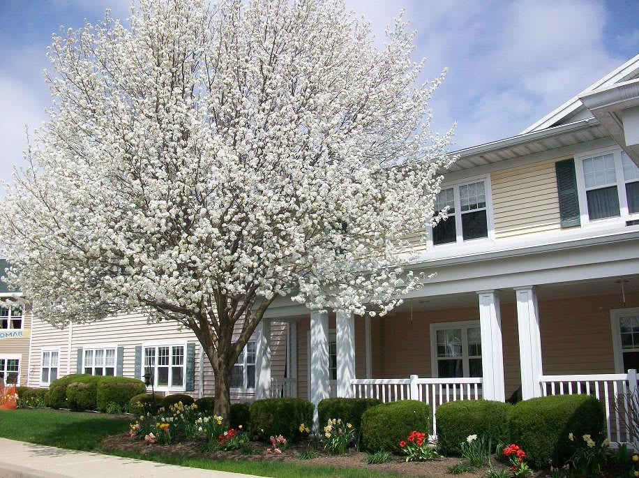 Brentland Woods, Episcopal SeniorLife Communities