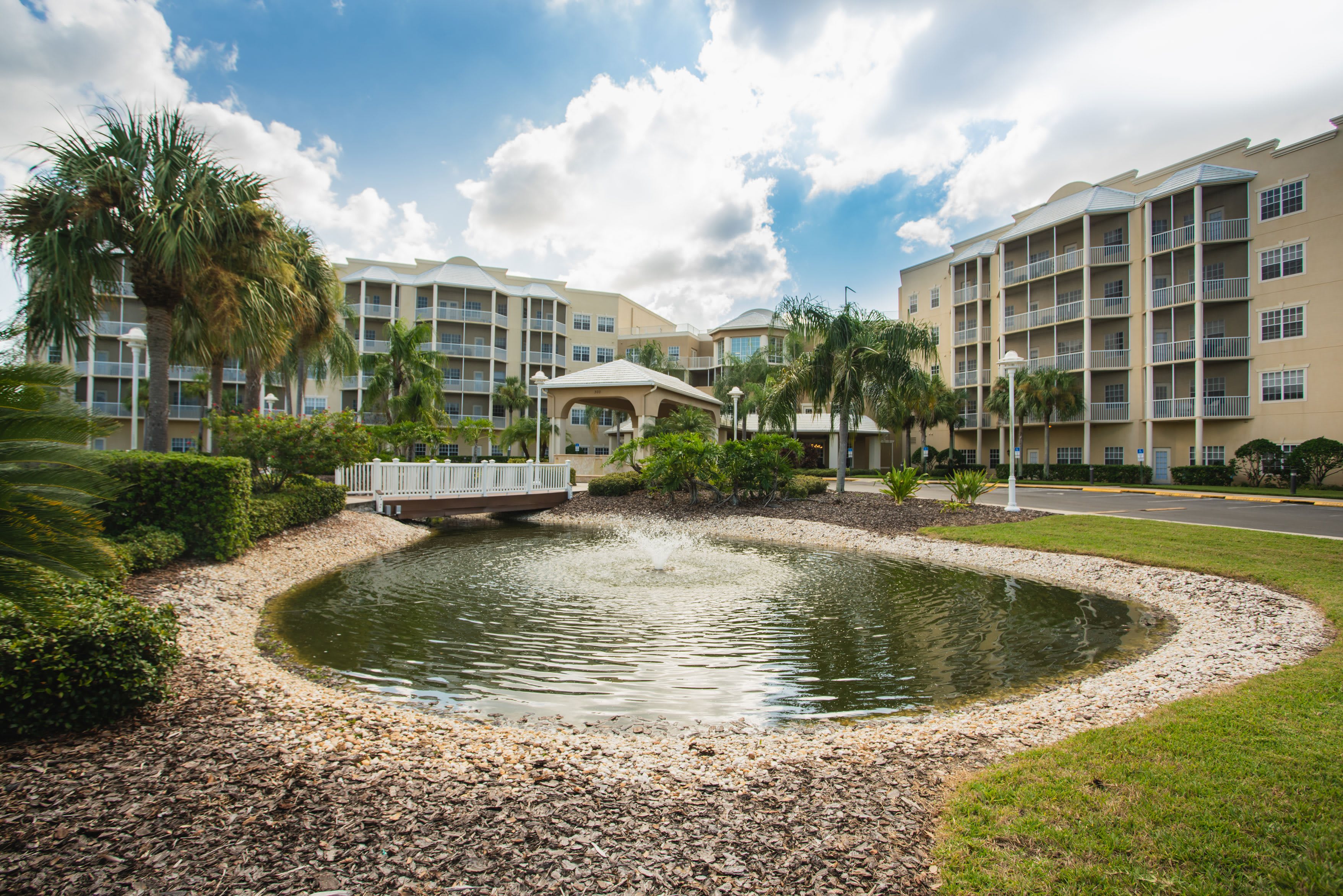 Regal Palms